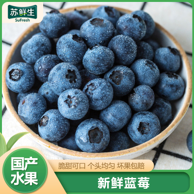 SF快递[苏鲜生] 新鲜辽宁蓝莓 个头饱满 8盒 单果15mm+ 125g/盒 口感甜蜜