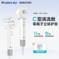格力高速吹风机C型涡轮风道自研专利吹风筒 等离子护发大功率速干恒温低噪音轻巧便携电吹风 GFH-1601b[哑光白]