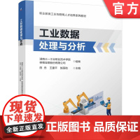 正版 工业数据处理与分析 陈丹 王建平 赵丽微 9787111773115 机械工业出版社 教材