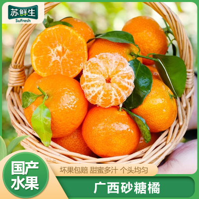 [苏鲜生]广西砂糖橘新鲜水果 净重9斤 中大果 单果35mm+ 当季整箱手撕沙糖桔