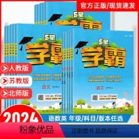 5星学霸❤️语文人教版 一年级下 [正版]2024版经纶学典小学5星学霸一二年级三年级四年级五年级六年级上下册语文数学英