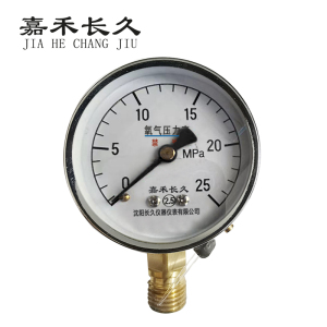 嘉禾长久+氧气压力表检测定制型+YO60+块
