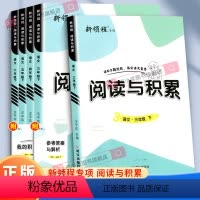 阅读与积累 三年级下 [正版]2024版新领程阅读与积累三年级四年级五年级六年级下册人教版小学语文阅读理解专项训练阅读提