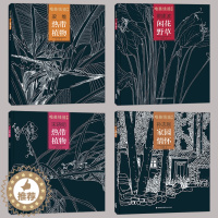 [醉染正版]唯美线描精选4册 闲花野草+家园情怀+热带植物+热带植物 工笔画花卉技法白描底稿勾线毛笔画谱国画 中国现代花