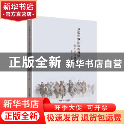 正版 少数民族地区图书馆特色资源建设 楠丁,张瑞卿,春艳 远方出