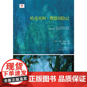 正版书籍 哈克贝利·费恩历险记 汤姆·索亚历险记续写故事 儿童冒险经典 翻译家张友松未删节全译 历险故事