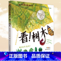 看!树木 [正版] 家门外的自然课系列 看!树木 3-6-9岁幼少儿童全彩插图漫画百科普大全 四季自然动植物绘本小百