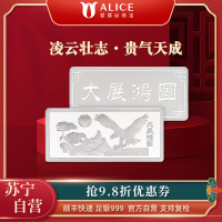 Alice珠宝 大展鸿图足银999投资白银工艺银条 500g