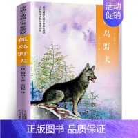 孤岛野犬 [正版]了不起的灰灰常新港著三年级百班千人大阅小森活动祖庆说小学生课外阅读书籍全新春风文艺出社kq52