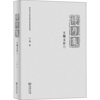 醉染图书视月集 王辉文存 39787100176163