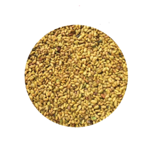 诚智旺 小叶紫花苜蓿种子 净籽/千克