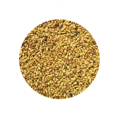 诚智旺 小叶紫花苜蓿种子 净籽/千克