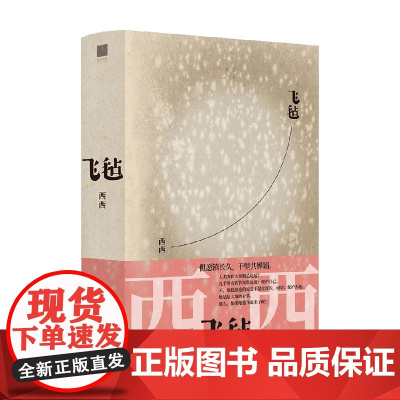 飞毡 西西 著 小说