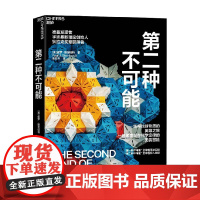 第二种不可能 保罗·斯坦哈特 著 科普读物