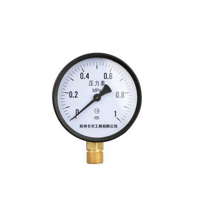 卡尔 普通压力表