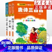 [注音版全3册]弟子规+三字经+唐诗三百首 [正版]弟子规+三字经+唐诗三百首 套装3册彩图注音版 小学生一年级二年级课