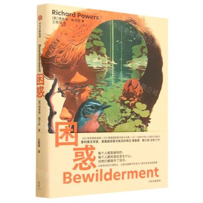 [N]困惑-9787521753066