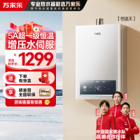 万家乐恒温王燃气热水器JSQ25-13P3 PRO(F)天然气一级恒温增压水伺服一级节能13升防冻