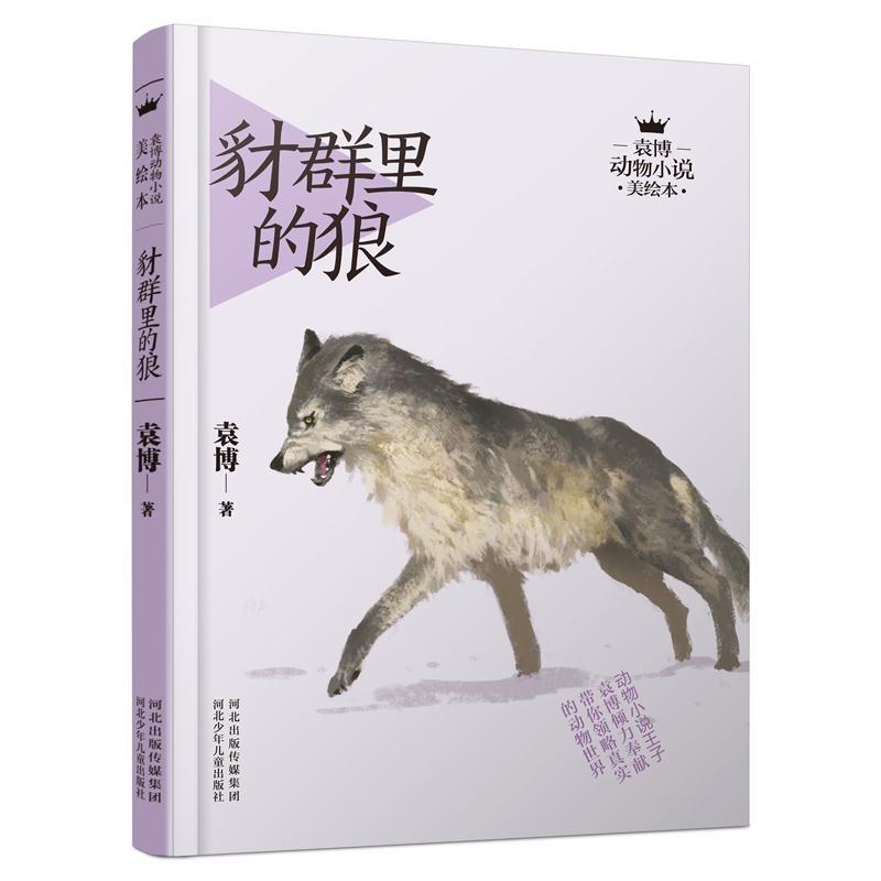 正版新书]袁博动物小说美绘本-豺群里的狼袁博9787537681018