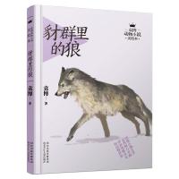 正版新书]袁博动物小说美绘本-豺群里的狼袁博9787537681018