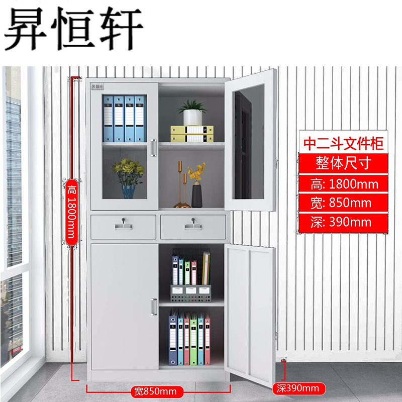 昇恒轩 中二斗文件柜办公室档案资料财务凭证更衣储物铁柜矮柜柜子 SHX-0422 个(钢板厚度 0.9mm )