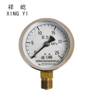 祥屹+压力表检测定制型+Y60+块