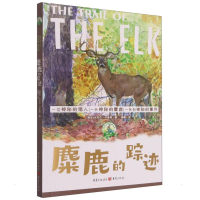 音像麋鹿的踪迹/传世动物文学书系(挪威)米克杰·芬豪斯
