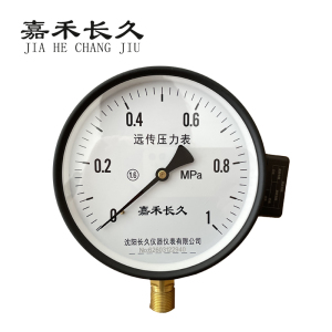 嘉禾长久 远传压力表检测型 YTZ150 块