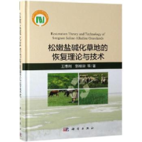 音像松嫩盐碱化草地的恢复理论与技术王德利