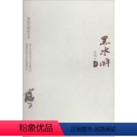 [正版]黑水浒 吴闲云 著 著 中国古典小说、诗词 文学 民主与建设出版社 图书