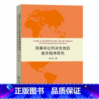 [正版]民事诉讼判决效后救济程序研究