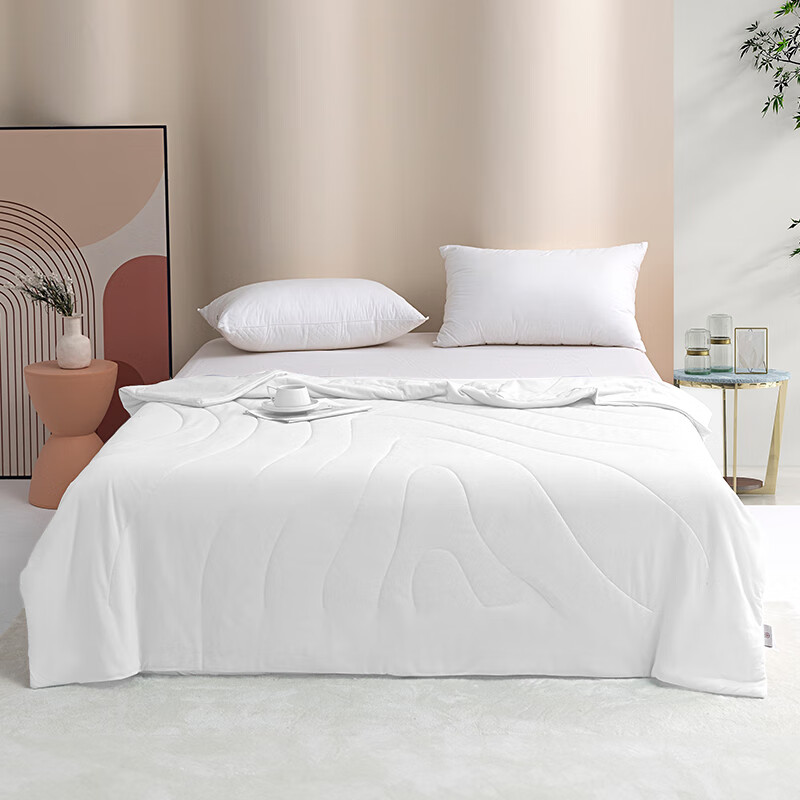 红秀世纺 HXGXB001 夏被200*230cm 全棉 被子 1 件/条(计价单位:条) 白色