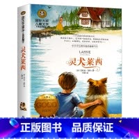 国际大奖儿童文学-灵犬莱西 [正版]灵犬莱西 三四五年级课外书名著国际大奖儿童文学图书美绘典藏版中小学生课外阅读书籍小说