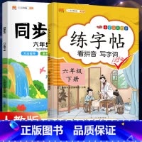 6下》同步练字帖+同步作文[2册] [正版]2023新版二年级下册同步练字帖三四五六年级一年级下册同步字帖人教版上册语文