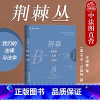 [正版] 2020新书 荆棘丛——我们的法律与法学 麦读系列 现实主义法学的名著 批判法学理论 法学院学生法律人律师读