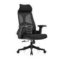 初嘉(CJ)BGY-20人体工学椅电脑椅撑腰办公椅家用老板椅电竞椅靠背转椅座椅