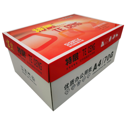 宣皇 特层打印纸a4多功能白纸草稿纸学生儿童用纸白色办公用品复印纸绘画纸 特层A4 80G 8包/箱