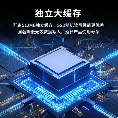 长城(Great Wall)512GB SSD固态硬盘 SATA3.0接口高速读写独立缓存 GW600S系列 读速560