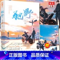 [正版]赠立卡+海报等 驰野 丁十三 大鱼文化女生都市青春文学热血赛车竞技爱情超甜高甜宠文言情小说书籍
