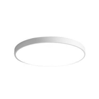 亮思能 LED吸顶灯 LSN-PEX 白光-圆形50CM-48W 个