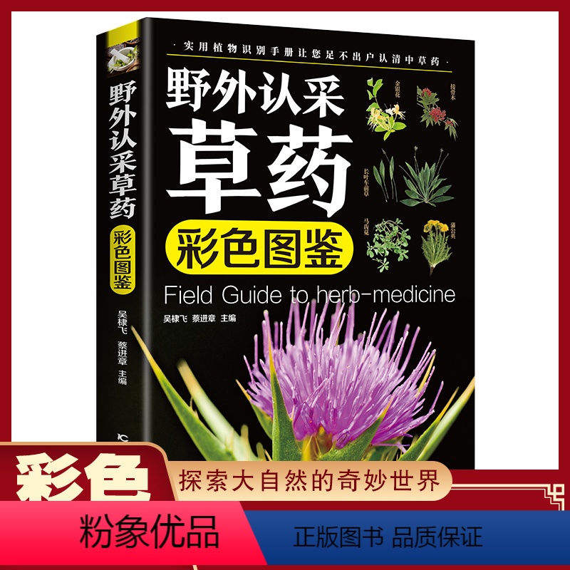 [正版]野外认采草药彩色图鉴 实用植物识别手册200多种野外常见中草药书