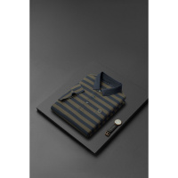 2025夏季新款条纹短袖男士中青年时尚休闲薄款男装印花