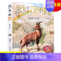 斑羚飞渡[ 注音版] [正版]狼王梦沈石溪动物小说系列品藏书系后一头战象8-10-12-15周岁儿童文学三四五六年级中小