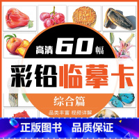 [正版]彩铅临摹卡综合篇60幅 一线美誉步骤对应视频详解美术绘画卡片兴趣高清原创