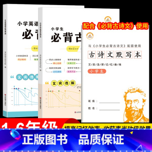 [全套.3册]艾宾浩斯记忆 小学通用 [正版]艾宾浩斯单词本小学英语单词记背神器遗忘曲线快速记忆法复习计划表一到六年级四