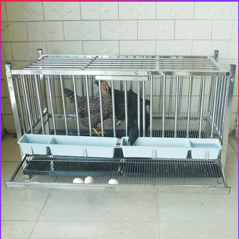 米妮不锈钢滚蛋笼自动滚蛋鸡笼家用蛋鸡笼鸡窝防鸡吃蛋防啄蛋