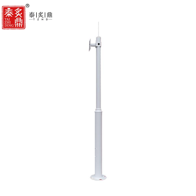 泰炙鼎 不锈钢监控立杆 3.5m 根
