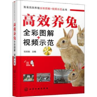 音像高效养兔(全彩图解+视频示范)任克良