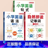 [全3册]单词+语法+句式一本通 小学通用 [正版]小学英语句式一本通英语句型句式语法阅读积累专项训练小学生一二三四五六