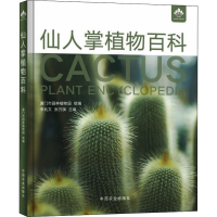 音像仙人掌植物百科不详